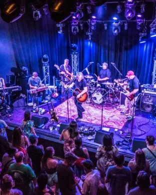 Hawks and Owls Grand Rapids