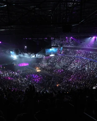 Dance Party In The Woods