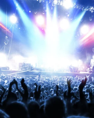 Fool House Grand Rapids