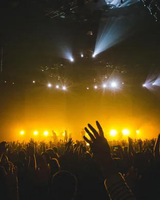 Tarotopia & Headband Henny