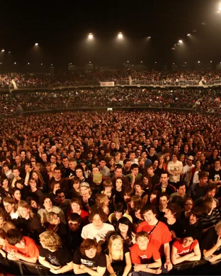 The Fukushima Daisies