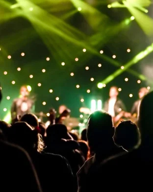 The Dogs - Band Grand Rapids