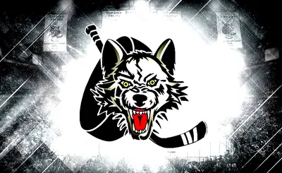 Chicago Wolves