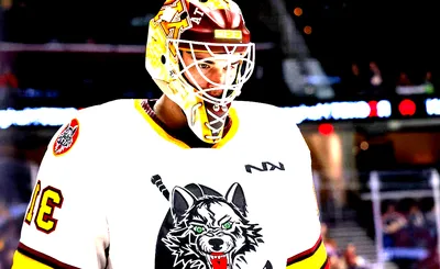 Chicago Wolves