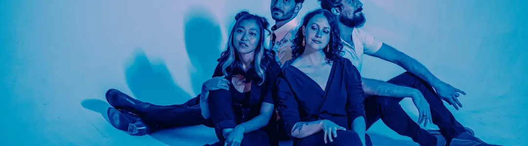 The Crane Wives
