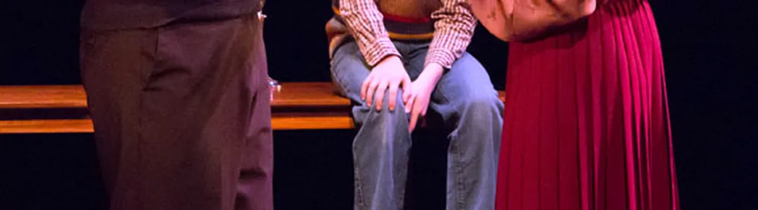 Falsettos - The Musical