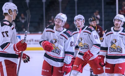 Grand Rapids Griffins