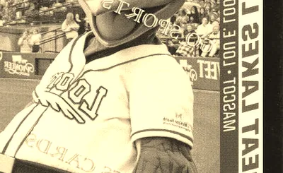 Great Lakes Loons