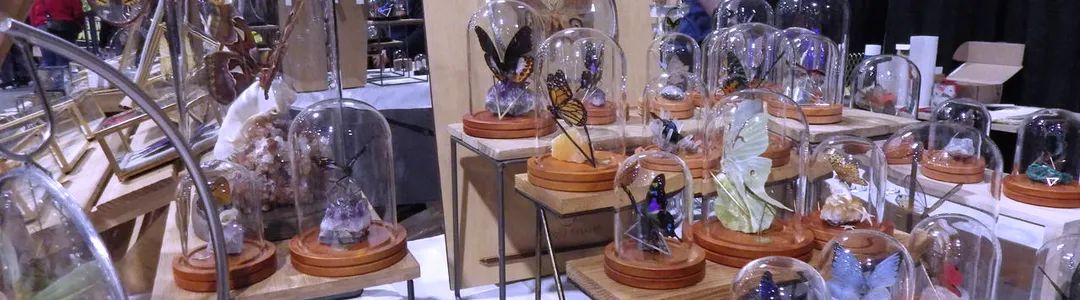 Oddities and Curiosities Expo