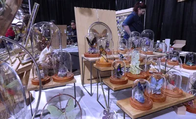 Oddities and Curiosities Expo