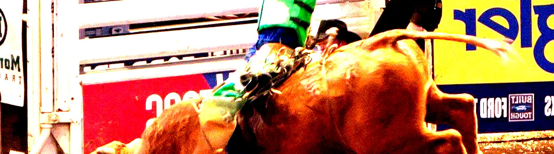 PBR - Professional Bull Riders