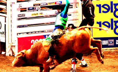 PBR - Professional Bull Riders