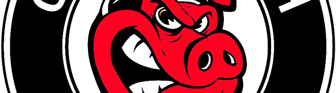 Rockford Icehogs 