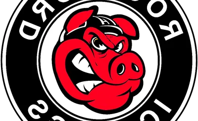 Rockford Icehogs 