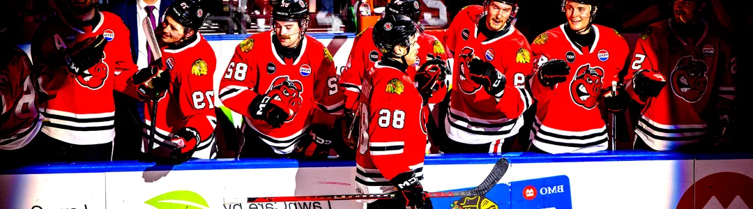 Rockford Icehogs 