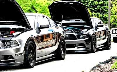 Street Car Takeover