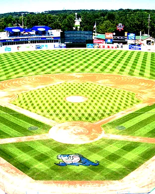 West Michigan Whitecaps vs. Beloit Sky Carp