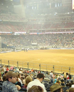 Professional Rodeo